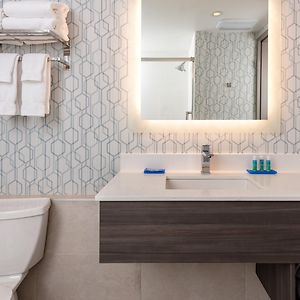 Standard King Room Mobility Accessible Roll Shower